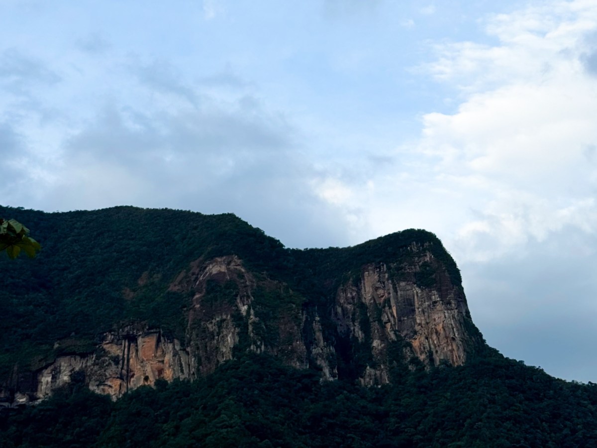 Wiediistock une música, natureza e consciência ambiental em&nbsp;Siderópolis