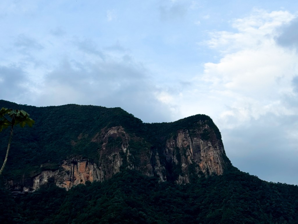 Wiediistock une música, natureza e consciência ambiental em&nbsp;Siderópolis